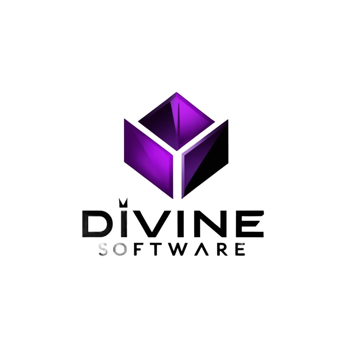 Divine Software - Logo